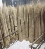 Nipah Broom Stick Indonesia