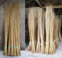 Coconut Broom Stick Indonesia