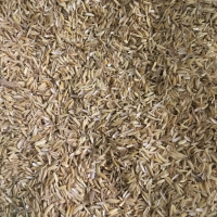 Rice Husk Good Price Agricultural Waste Using For Fossil Fuels Energy Wood Pellets Made In Vietnam