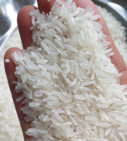 Long Grain White Rice St21 Rice Bulk Price High Benefits Using For Food Halal Brcgs Haccp Iso 22000 Certificate Customized Pack