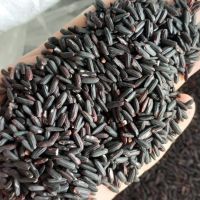 Black Rice Vietnam Brown Rice Top Product Using For Food Halal Brcgs Haccp Iso 22000 Certificate Custom Packing