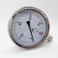 oil filled stainless steel pressure gauge From China
