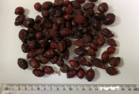 ROSEHIP