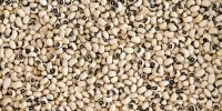Black Eyed Beans/Cowpea Beans