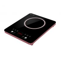 Induction Cooker