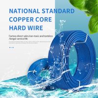  National standard wire and cable BV1 5 2.5 4 6-10 square single strand flame retardant pure copper core hard wire home decoration power cord From China