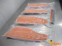 Salmon Fish Frozen Fillet From UAE