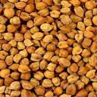 Ethiopian Desi Chickpeas