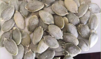 pumpkin seeds, sunflower seeds