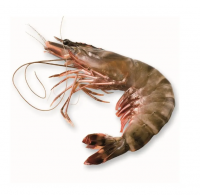 Frozen Tiger Prawns 26/30 (800gm Per Pack) Wholesale Suppliers Prawns Shrimps Black Tiger Vannamies Shrimp/ Frozen Red Prawns