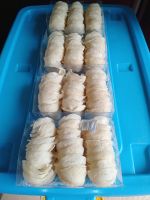 bird nest 