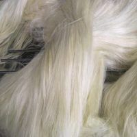 Sisal fibre ug grade from Kenya