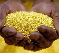 GOLD DUST, GOLD  NUGGETS  AND GOLD BARS  