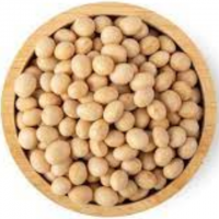 Soybeans 