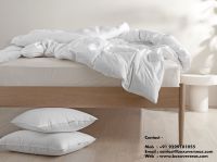 100% Cotton Duvet Set 200-1200 TC for Home , Hotel and Hospital