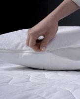 Mattress And Pillow Protector