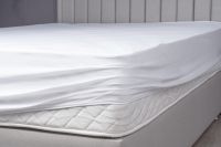 Mattress And Pillow Protector