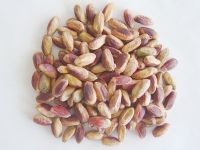 Best Pistachio nuts