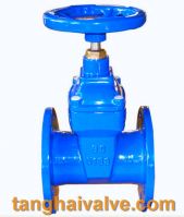 Gate Valve  (TH-GTV