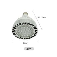 Hight Quality LED PAR30 LIGHTS