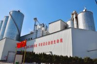 Highly Active Calcium Hydroxide From China