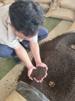 Vietnam Black Pepper 500g/l Cleaned Asta For Sale