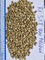 Vietnam Robusta Coffee Beans S18 Wet Polished Trusted Exporter