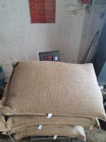 Vietnam Robusta Coffee Beans S18 Wet Polished Trusted Exporter