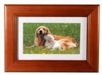 Digital Photo Frames