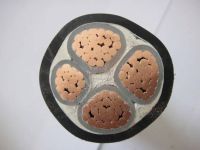 600v low voltage power cable From China