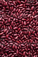 Kidney Bean, White/red/all Types Very Good For The Body Contains A Large Amount Of Fiber Vegetable Protein