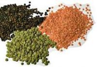 High Quality Bulk Dried Whole Split Lentils Red Lentils Green Lentils Lentils(red, Green, Black And White)