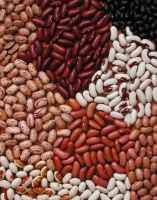 Kidney Bean, White/red/all Types Very Good For The Body Contains A Large Amount Of Fiber Vegetable Protein