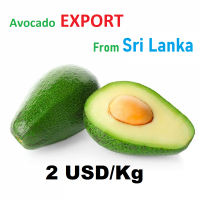 Avocado