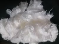 Viscose Staple Fiber