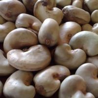 Raw Cashew Nuts