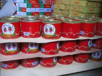 Easy Open Canned Tomato Paste From China