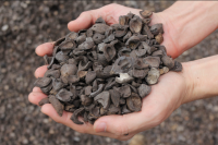 palm kernel shell