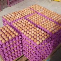 Farm Fresh Chicken Table Eggs