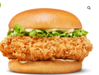 https://cn.tradekey.com/product_view/Breaded-Frozen-Chicken-Burger-10105639.html