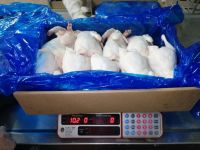 Top Selling Premium Halal Frozen Whole Chicken, Chicken Feet, Paws Frozen Chicken Paws Chicken