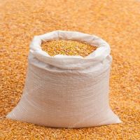 Wholesale Gmo Yellow Corn Sweet Kernel Corn Color Organic Eco Maize Animal Feed Human Feed Grains