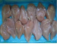 High Quality Meat & Poultry Products Halal ISO Gap Certification Frozen Chicken Feet from USA