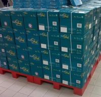 Hot Sales Double A A4 Office