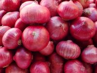 Red Onion