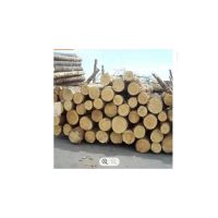 130KW Energy Saving Industrial wood Logs of 6 ft length and durable ebony wood block for sale teak sawn timber teak lumber wood From South Africa