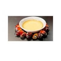 Wholesale Supply Factory price Refined palm oil Daily Food Cooking Palm Fruit Oil cp 10 cp 10 Refined Palm kernel oils From South Africa