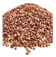 Best Quality Roasted Buckwheat For Sale In Cheap Price Wholesale Roasted Buckwheat From South Africa