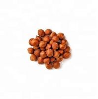 raw hazelnuts in shell  bulk supplier  roasted hazelnuts wholesale best quality peeled roasted hazelnut without Shell From South Africa