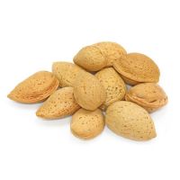 Jumbo California Almonds In Shell Premium Quality Kosher Raw Almonds From South Africa